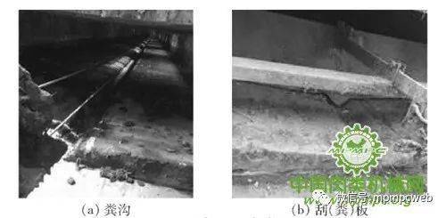 生豬養(yǎng)殖設施工程技術研究現狀與發(fā)展分析