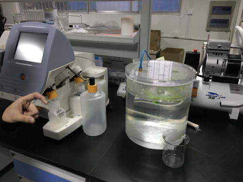 貝愛益生全國合伙人齊聚科爾工廠，零距離見證羊初乳CPP復合粉安全生產與網絡安全技術研發(fā)